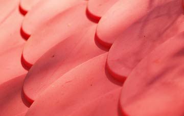 Cliaid plastic roof costs