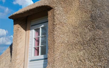 Cliaid thatch roof disadvantages